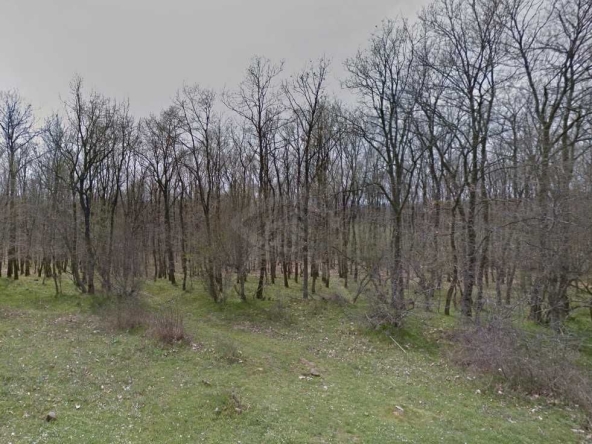 Парцел в с. Деветак, Област Бургас - 1660 кв.м за 4 €/кв.м - Снимка #1