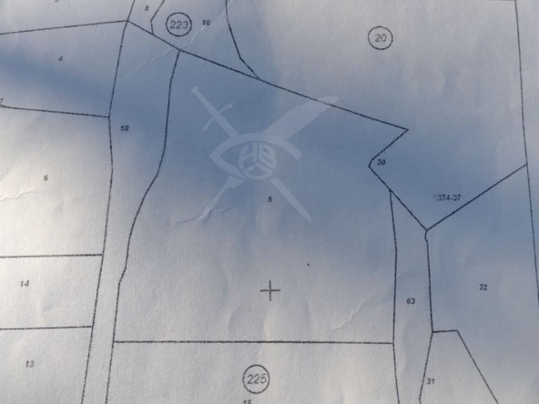 Парцел в Асеновград - 6000 кв.м за 37 €/кв.м - Снимка #1