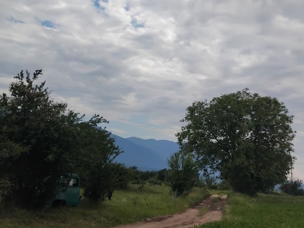 Парцел в с. Крайници, Област Кюстендил - 1940 кв.м за 9 €/кв.м - Снимка #1