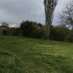 Парцел в с. Крайници, Област Кюстендил - 1200 кв.м за 25 €/кв.м - Снимка #1