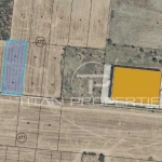 Парцел в Пловдив, Западен - 4996 кв.м за 23 €/кв.м - Снимка #1