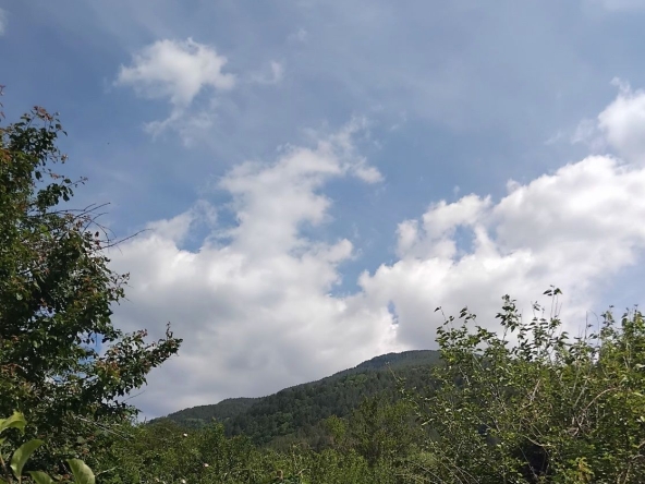 Парцел в с. Овчарци, Област Кюстендил - 950 кв.м за 28 €/кв.м - Снимка #1