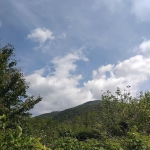 Парцел в с. Овчарци, Област Кюстендил - 950 кв.м за 28 €/кв.м - Снимка #1