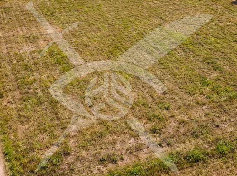 Парцел в с. Красново, Област Пловдив - 920 кв.м за 26 €/кв.м - Снимка #1