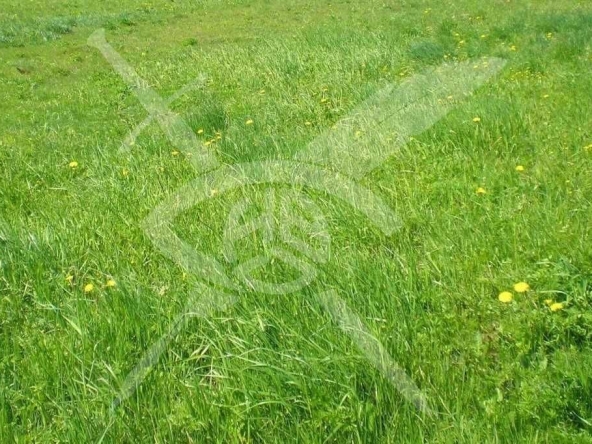 Парцел в с. Извор, Област Пловдив - 1084 кв.м за 22 €/кв.м - Снимка #1