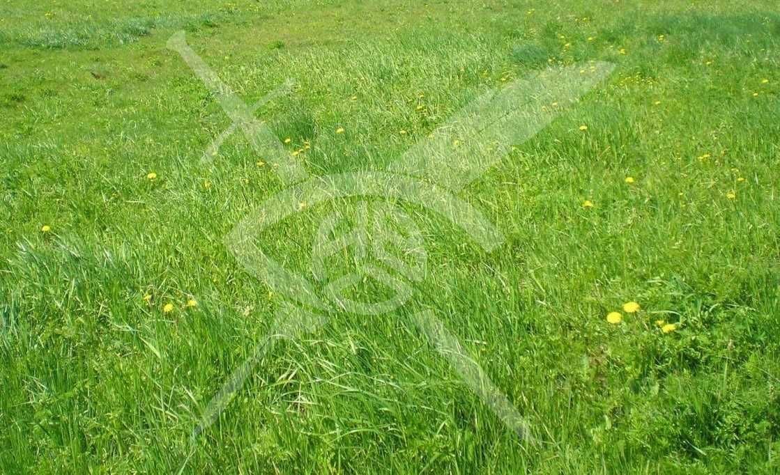 Парцел в с. Извор, Област Пловдив - 1084 кв.м за 22 €/кв.м - Снимка #1