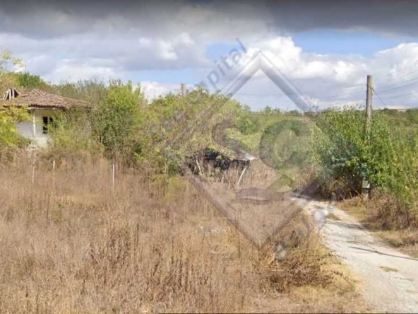 Парцел в с. Поручик Кърджиево, Област Добрич - 1500 кв.м за 3 €/кв.м - Снимка #1