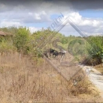 Парцел в с. Поручик Кърджиево, Област Добрич - 1500 кв.м за 3 €/кв.м - Снимка #1