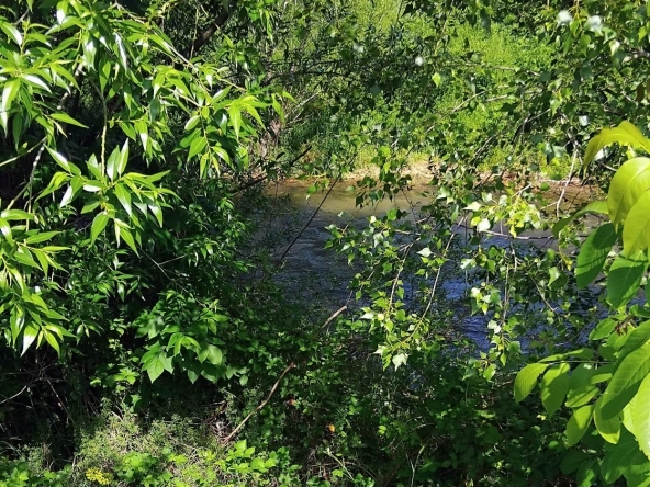 Парцел в Благоевград, Струмско - 1000 кв.м за 23 €/кв.м - Снимка #1