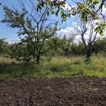 Парцел в Дупница - 950 кв.м за 45 €/кв.м - Снимка #1