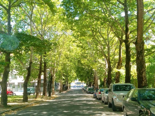 Тристаен апартамент в Кърджали, Център - 100 кв.м за 990 €/кв.м - Снимка #1