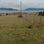 Парцел в Батак - 501 кв.м за 31 €/кв.м - Снимка #1