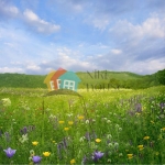 Парцел в Варна, м-т Боровец - юг - 600 кв.м за 94 €/кв.м - Снимка #1