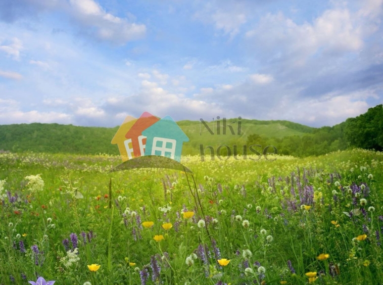 Парцел в Варна, м-т Боровец - юг - 600 кв.м за 94 €/кв.м - Снимка #1