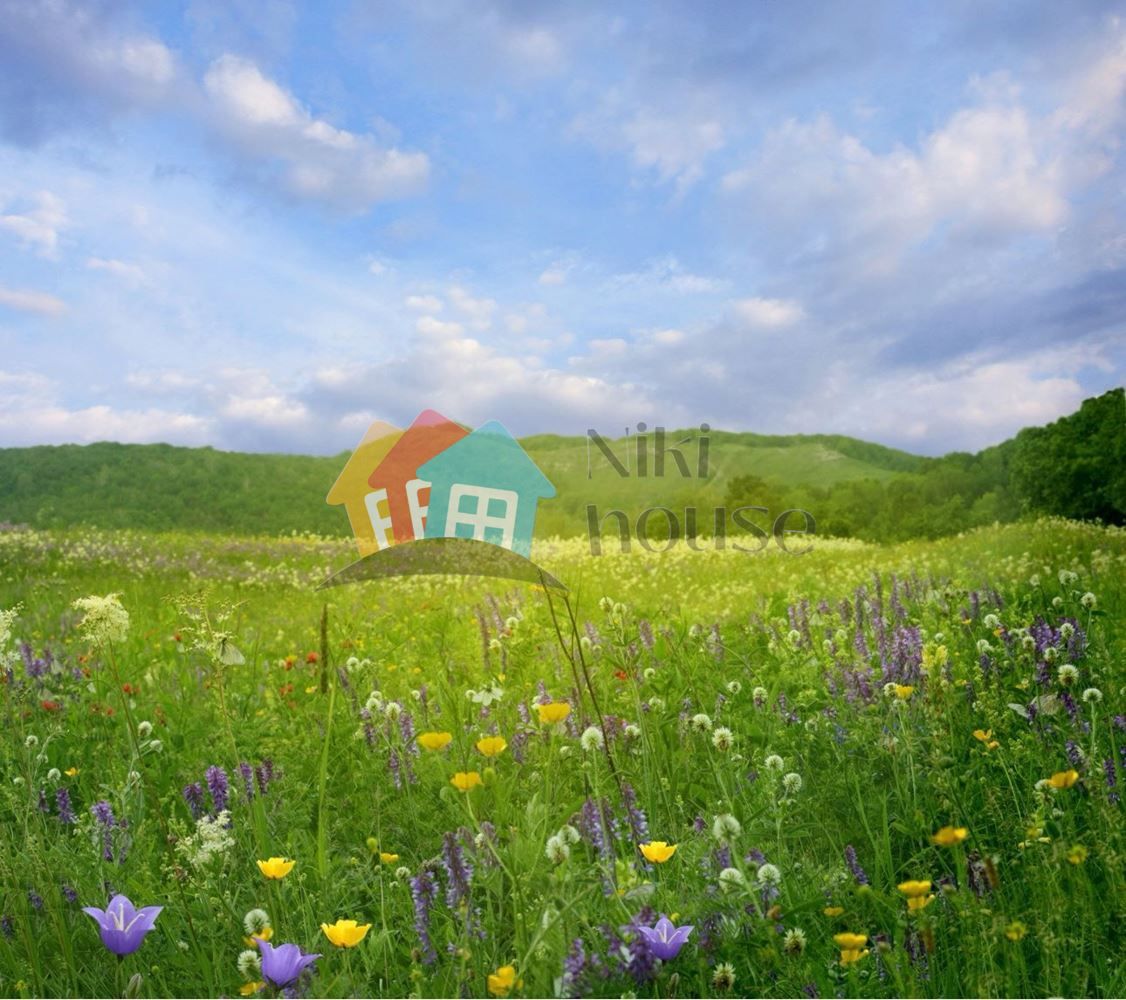 Парцел в Варна, м-т Боровец - юг - 600 кв.м за 94 €/кв.м - Снимка #1