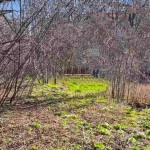 Парцел в Перник, Драгановец - 467 кв.м за 62 €/кв.м - Снимка #1