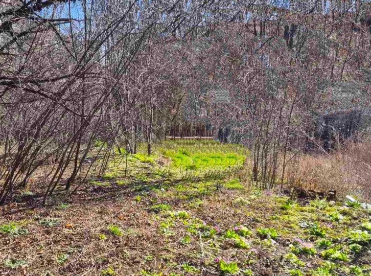 Парцел в Перник, Драгановец - 467 кв.м за 62 €/кв.м - Снимка #1