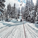 Парцел в Берковица - 8150 кв.м за 94 €/кв.м - Снимка #1