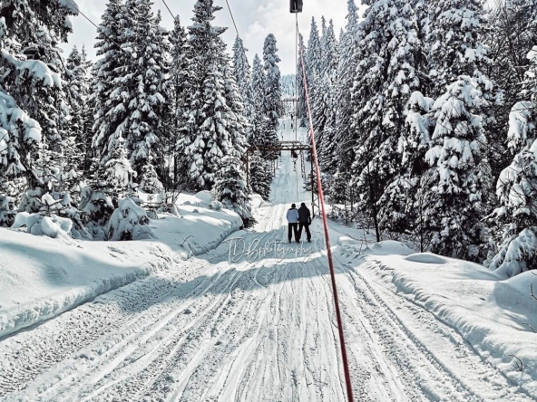 Парцел в Берковица - 8150 кв.м за 94 €/кв.м - Снимка #1