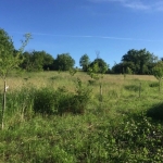 Парцел в с. Неново, Област Варна - 1600 кв.м за 2 €/кв.м - Снимка #1