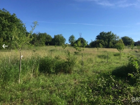 Парцел в с. Неново, Област Варна - 1600 кв.м за 2 €/кв.м - Снимка #1