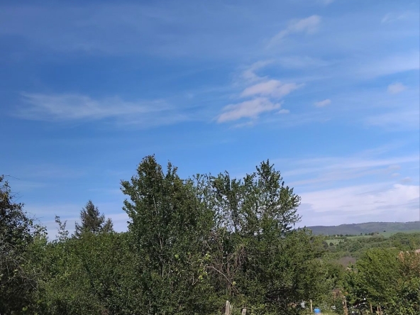 Парцел в с. Долистово, Област Кюстендил - 810 кв.м за 11 €/кв.м - Снимка #1