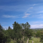 Парцел в с. Долистово, Област Кюстендил - 810 кв.м за 11 €/кв.м - Снимка #1