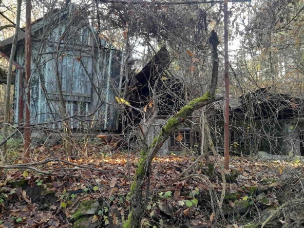 Парцел в с. Луково, Област София-област - 850 кв.м за 24 €/кв.м - Снимка #1