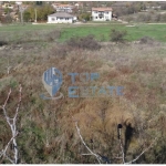 Парцел в с. Беляковец, Област Велико Търново - 3000 кв.м за 8 €/кв.м - Снимка #1