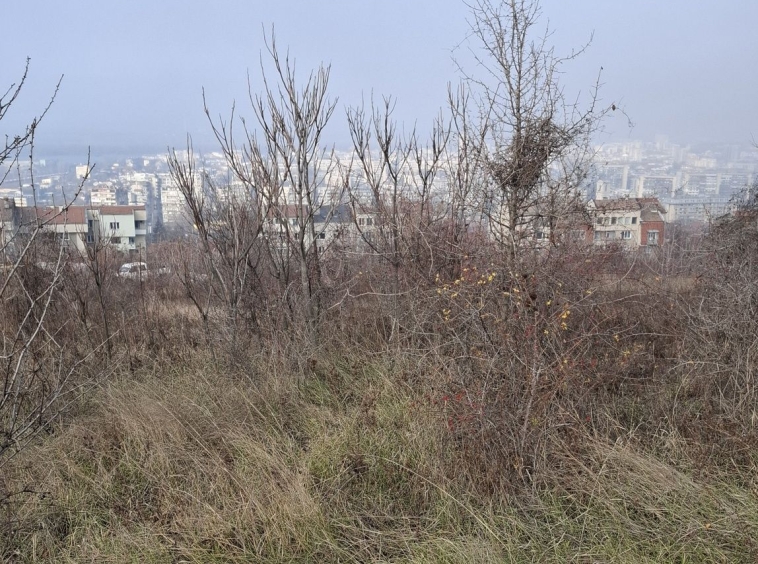 Парцел в Русе, Мальовица - 1000 кв.м за 25 €/кв.м - Снимка #1