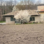 Къща в Търговище, Център - 650 кв.м за 8 €/кв.м - Снимка #1