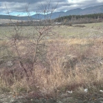 Земеделски имот в Казанлък -  кв.м за 10 €/дка - Снимка #1