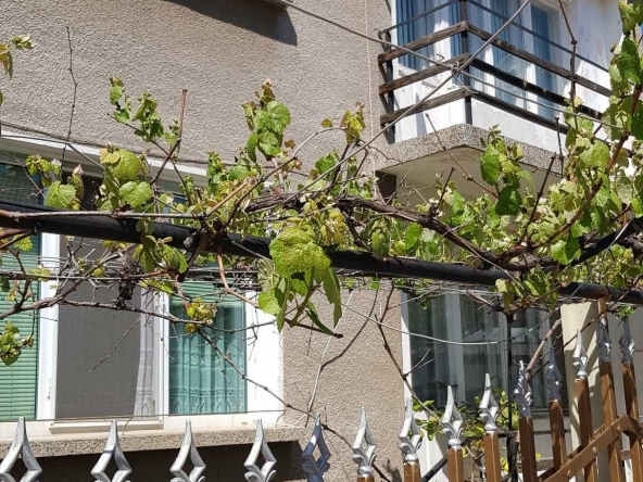 Дава се под наем Къща в с. Гара Елин Пелин, Област София-област - 75 кв.м за 765 € - Снимка #1