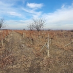 Земеделски имот в с. Устина, Област Пловдив -  кв.м за 3825 €/дка - Снимка #1