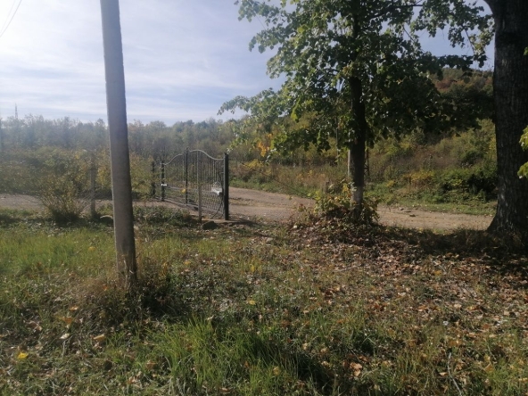 Парцел в Троян - 1000 кв.м за 16 €/кв.м - Снимка #1