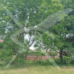 Парцел в с. Костиево, Област Пловдив - 839 кв.м за 23 €/кв.м - Снимка #1