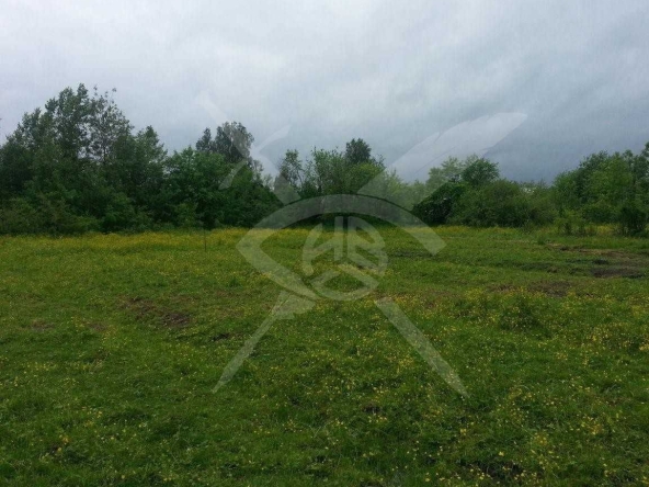 Парцел в с. Брестник, Област Пловдив - 991 кв.м за 28 €/кв.м - Снимка #1