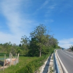 Парцел в Асеновград - 1500 кв.м за 9 €/кв.м - Снимка #1