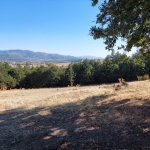 Парцел в с. Резбарци, Област Кърджали - 2800 кв.м за 18 €/кв.м - Снимка #1