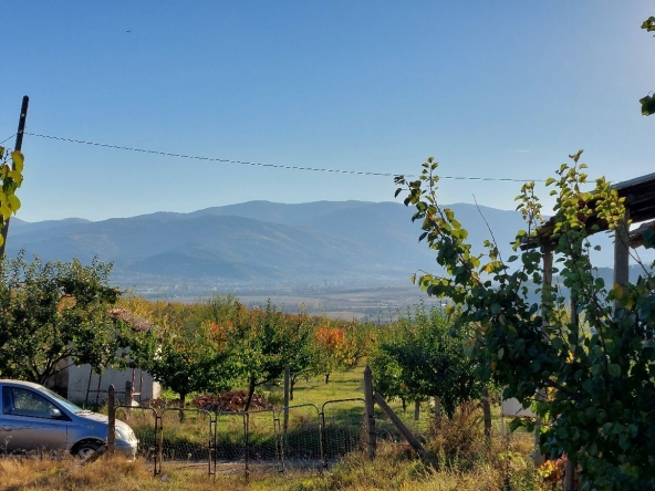 Земеделски имот в с. Дворище, Област Кюстендил -  кв.м за 1858 €/дка - Снимка #1