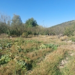 Парцел в Шумен, Херсон - 980 кв.м за 7 €/кв.м - Снимка #1