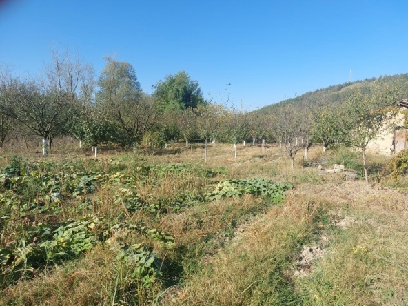 Парцел в Шумен, Херсон - 980 кв.м за 7 €/кв.м - Снимка #1