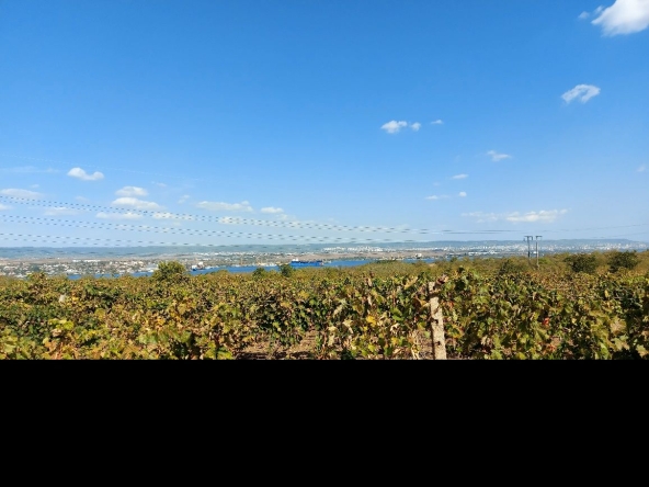 Парцел в Белослав - 3000 кв.м за 3 €/кв.м - Снимка #1