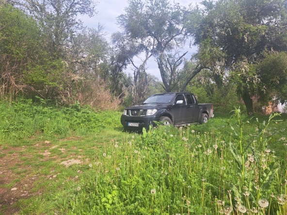 Парцел в с. Свежен, Област Пловдив - 2000 кв.м за 40 €/кв.м - Снимка #1