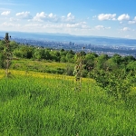 Парцел в София, в.з. Киноцентъра 3 част - 1067 кв.м за 234 €/кв.м - Снимка #1