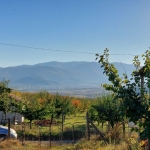 Земеделски имот в с. Дворище, Област Кюстендил -  кв.м за 1786 €/дка - Снимка #1