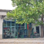 Магазин в Свищов - 300 кв.м за 380 €/кв.м - Снимка #1