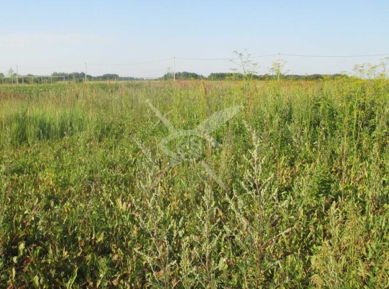 Парцел в с. Брестник, Област Пловдив - 2700 кв.м за 23 €/кв.м - Снимка #1