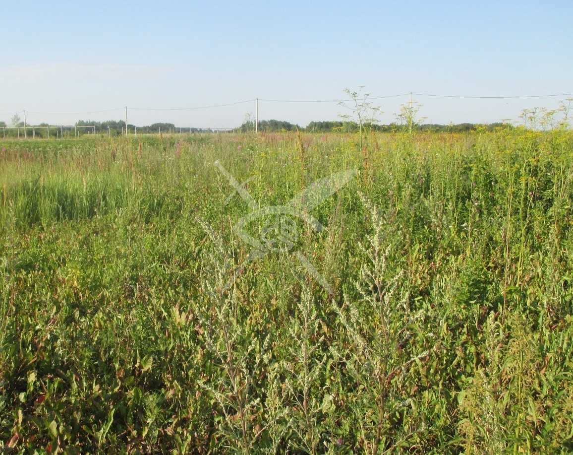 Парцел в с. Брестник, Област Пловдив - 2700 кв.м за 23 €/кв.м - Снимка #1