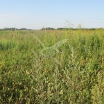 Парцел в с. Брестник, Област Пловдив - 2700 кв.м за 53 €/кв.м - Снимка #1